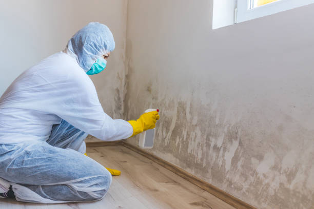 Mold Remediation specialist working in Vine Grove