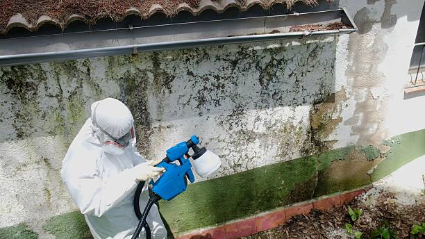 Clearance testing in Vine Grove